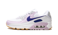 Nike AIR MAX 90 WMNS DX3316 100