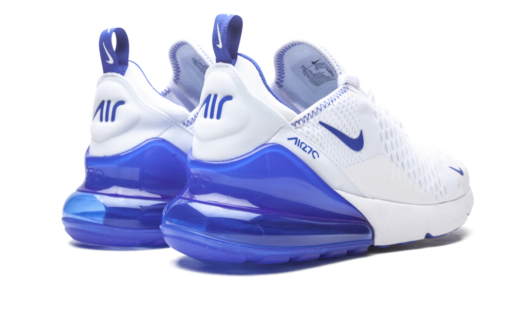 Nike Air Max 270 Kentucky DH0268 100