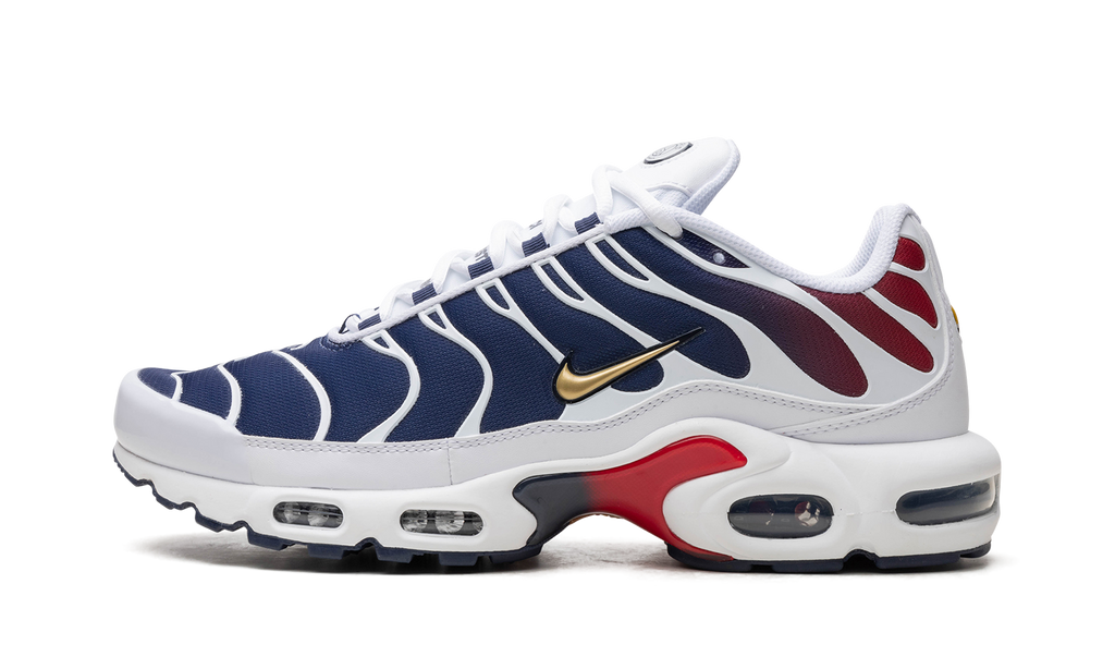 Nike Air Max Plus PSG FZ4776 100