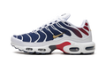Nike Air Max Plus PSG FZ4776 100