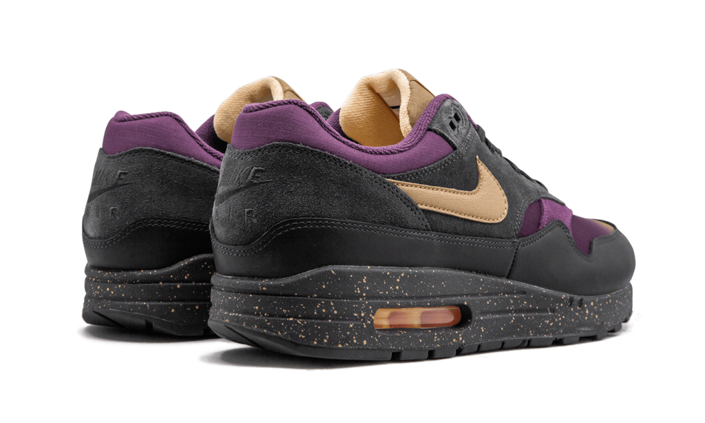 Nike Air Max 1 Premium Fade Pack 875844 002