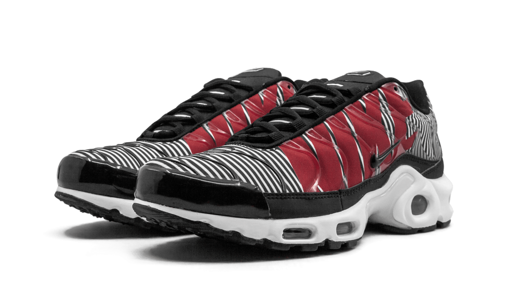 Nike Air Max Plus TN SE Striped AT0040 001
