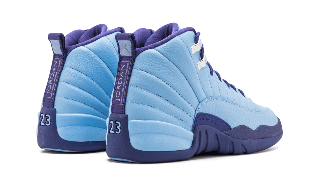 Air Jordan 12 Retro GS Purple Dust 510815 418