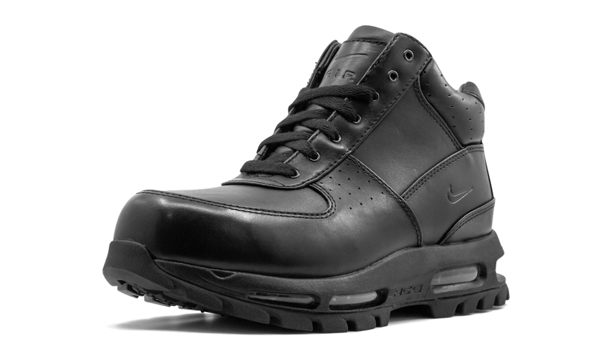 Nike Air Max Goadome Black 865031 009