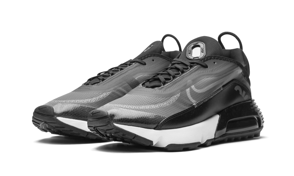 Nike AIR MAX 2090 Black / Wolf Grey CW7306 001