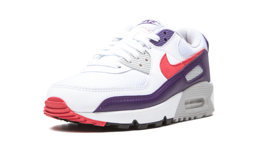 Nike Air Max 90 WMNS Eggplant CW1360 100