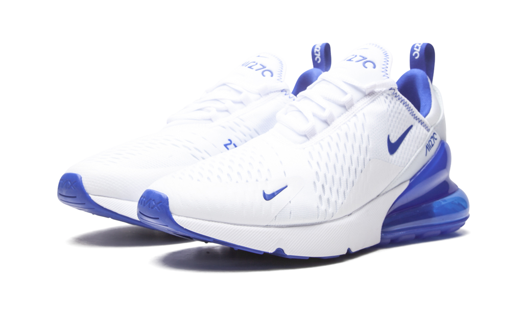 Nike Air Max 270 Kentucky DH0268 100