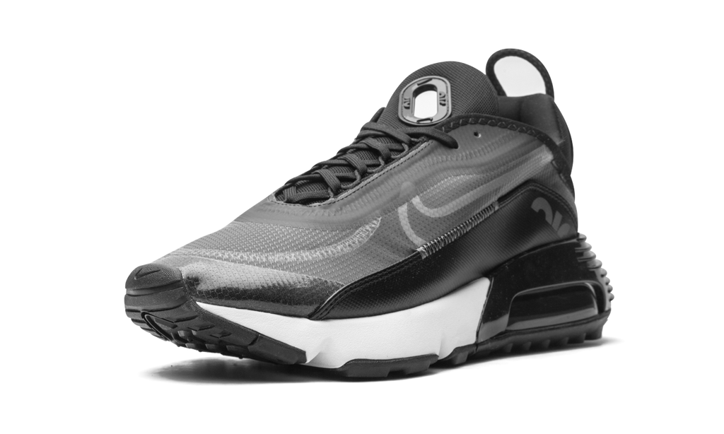 Nike AIR MAX 2090 Black / Wolf Grey CW7306 001