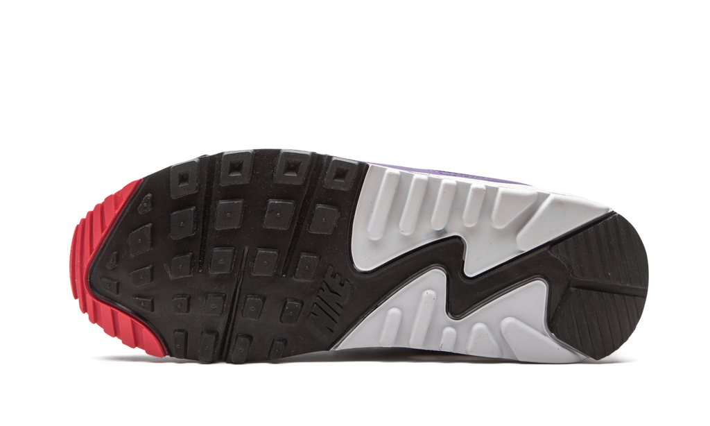 Nike Air Max 90 WMNS Eggplant CW1360 100
