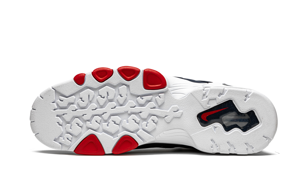 Nike Air Max CB 94 USA 2021 DJ5160 400