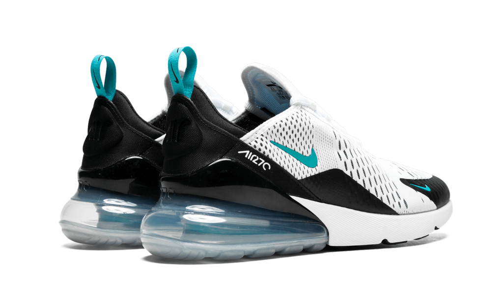 Nike Air Max 270 Dusty Cactus AH8050 001