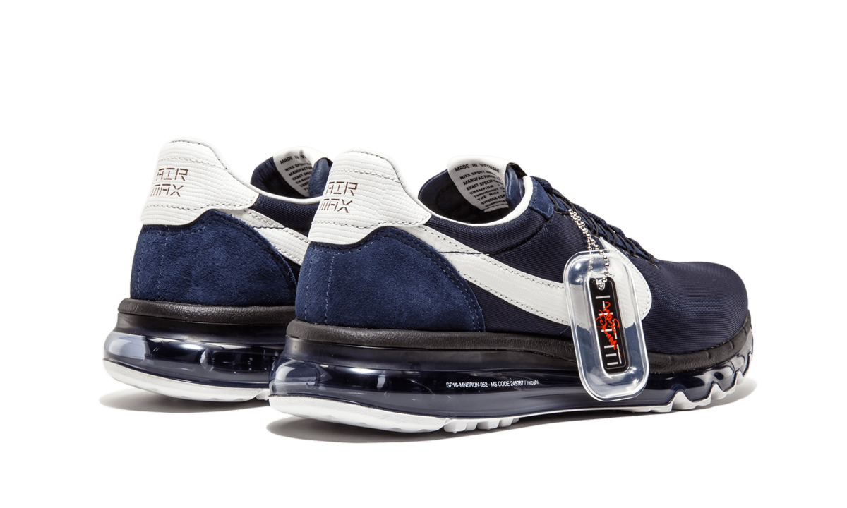 Nike Air Max LD-Zero HTM