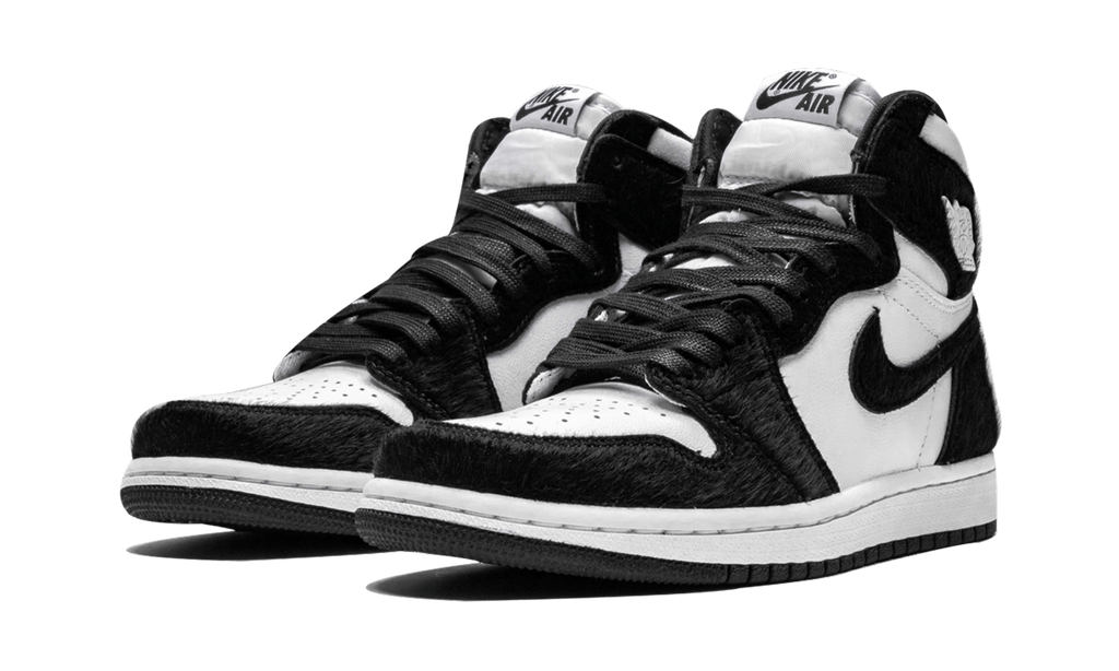 AIR JORDAN 1 RETRO HIGH OG WMNS Twist CD0461 007