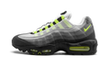 Nike Air Max 95 V SP Patch 747137 170