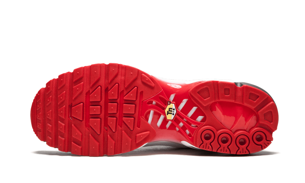 Nike Air Max Plus TN SE AQ0237 100