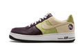 Nike Air Force 1 Premium '07 Bobbito Garcia 316892 521