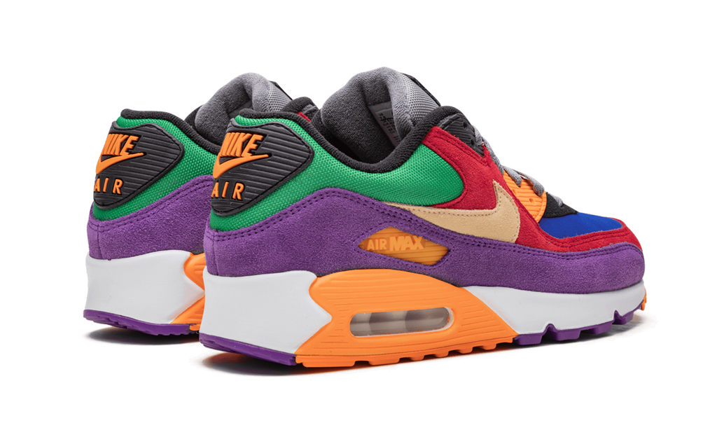 Nike Air Max 90 Viotech CD0917 600