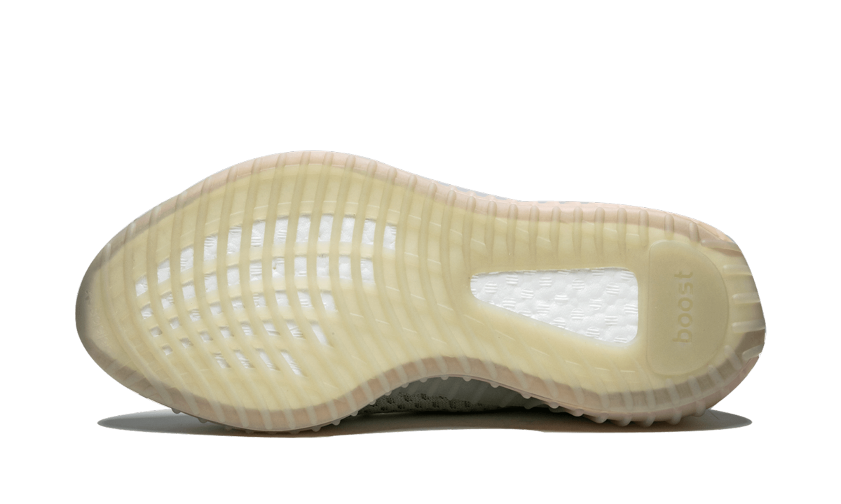Yeezy Boost 350 V2 True Form EG7492