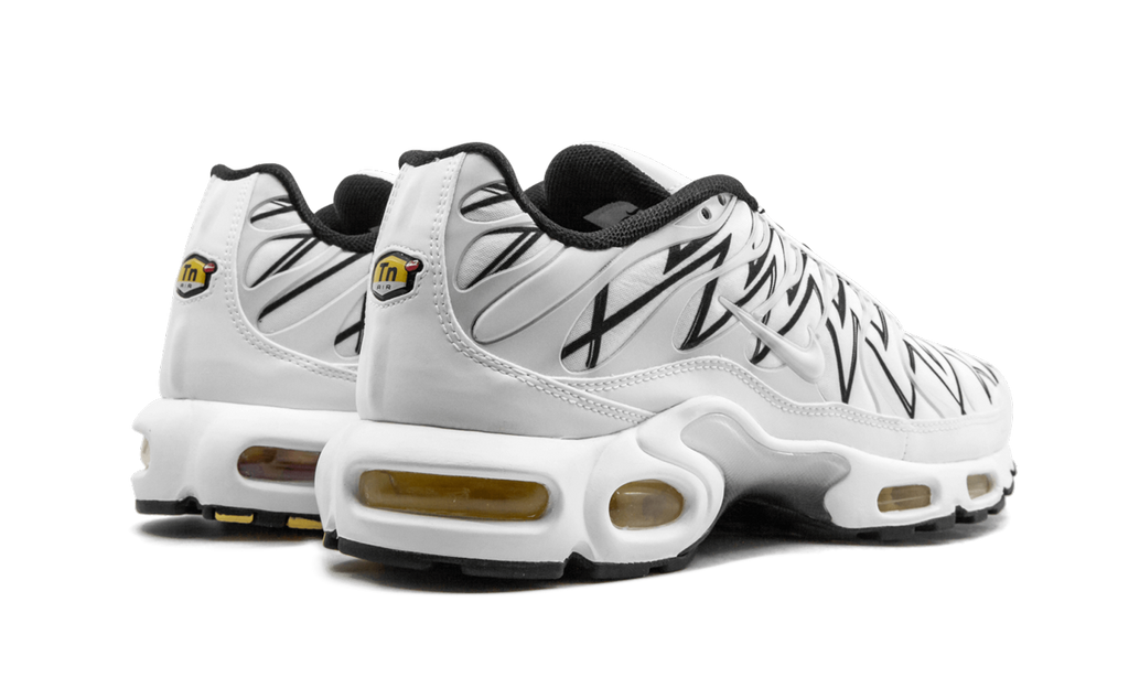 Nike Air Max Plus White Shark AJ6311 100