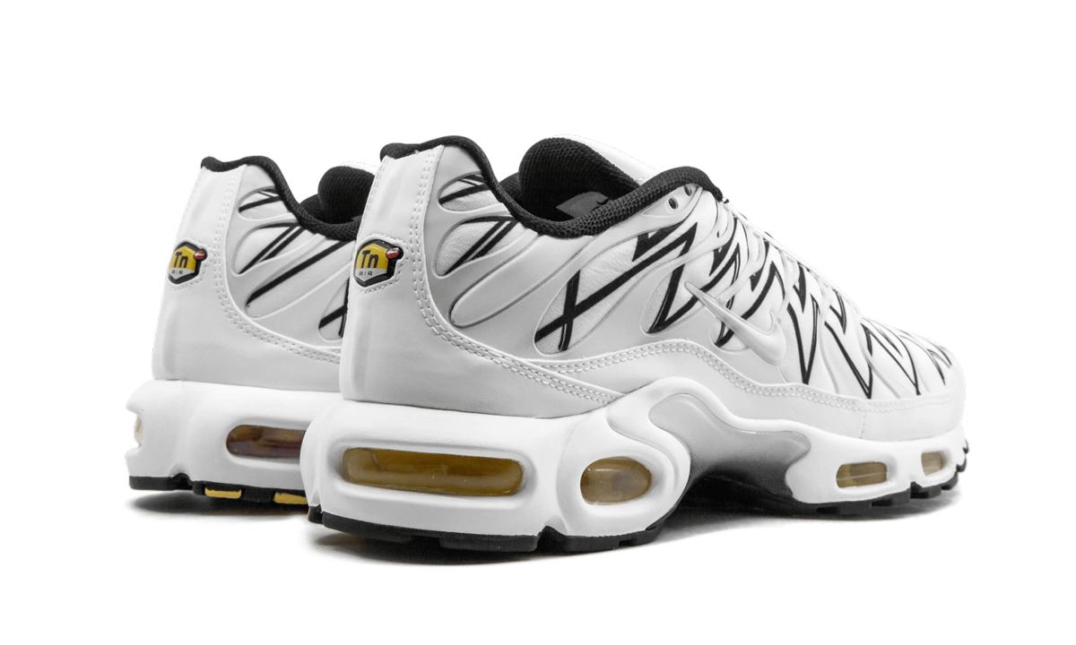 Nike Air Max Plus White Shark AJ6311 100