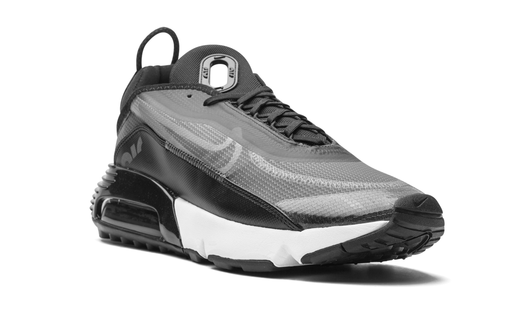 Nike AIR MAX 2090 Black / Wolf Grey CW7306 001