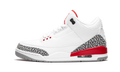 Air Jordan 3 Retro Katrina / Hall Of Fame 136064 116