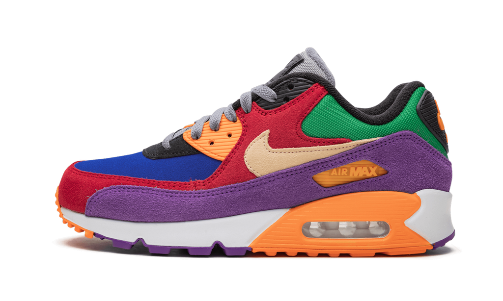 Nike Air Max 90 Viotech CD0917 600