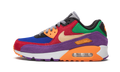 Nike Air Max 90 Viotech CD0917 600