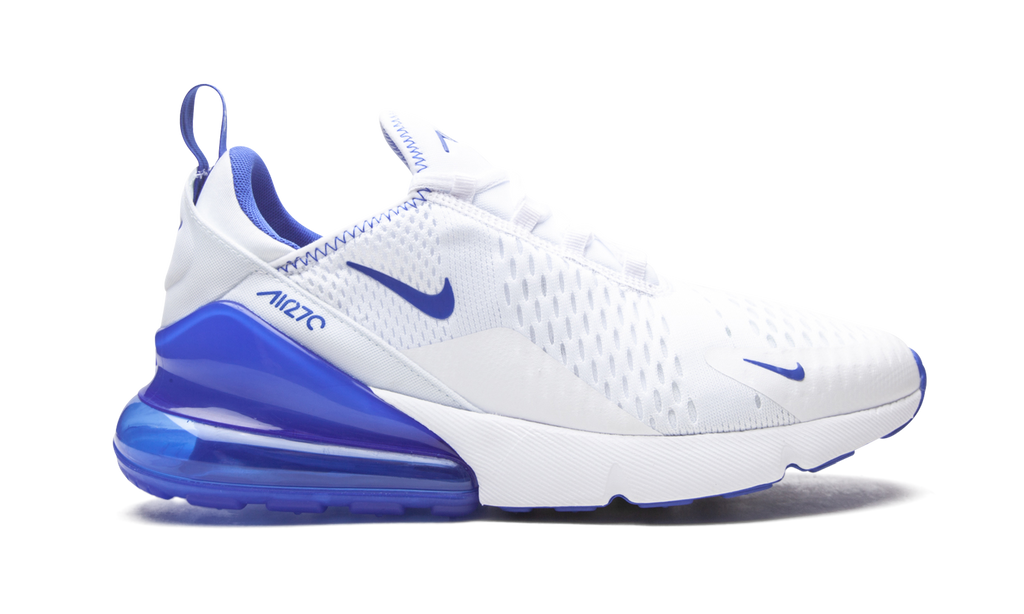 Nike Air Max 270 Kentucky DH0268 100
