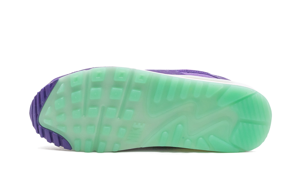 Nike Air Max 90 Animal Pack - Violet Blend CZ5588 001