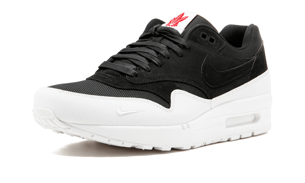 Nike Air Max 1 QS Toronto 704997 006