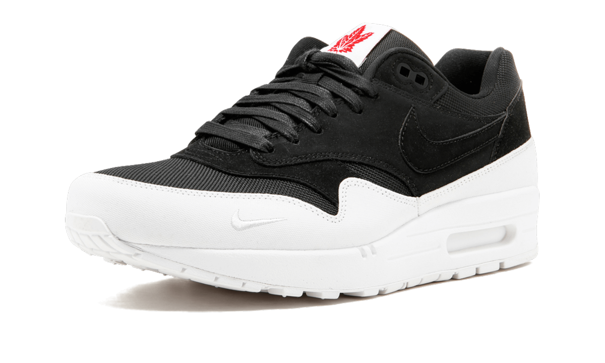 Nike Air Max 1 QS Toronto 704997 006