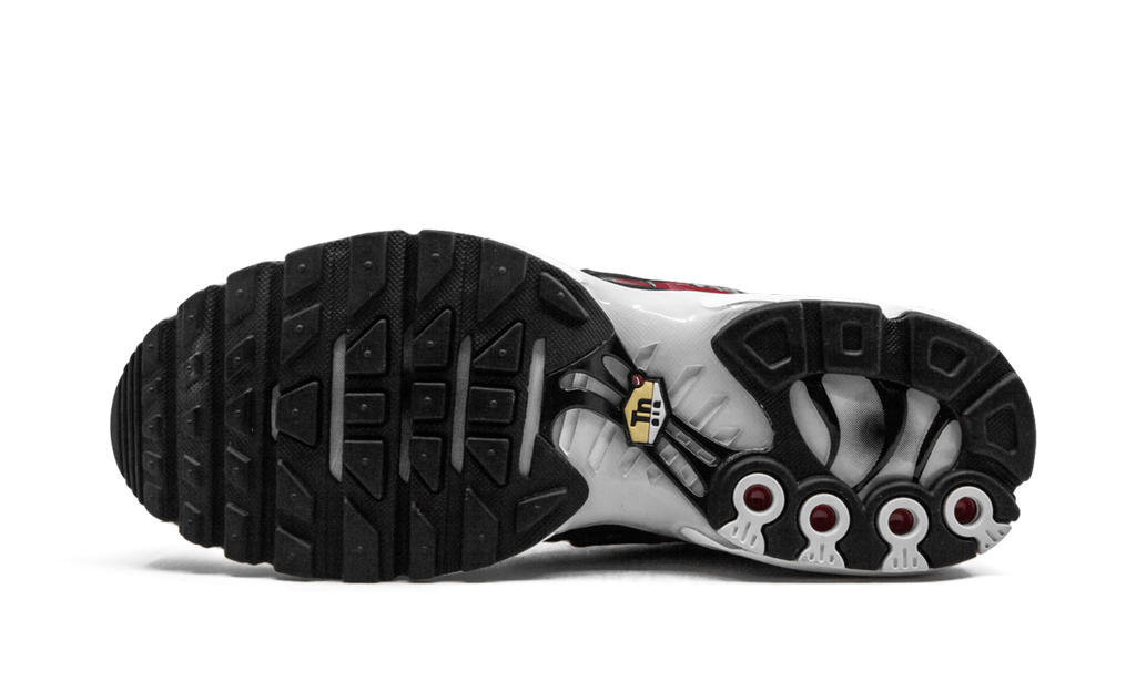 Nike Air Max Plus TN SE Striped AT0040 001
