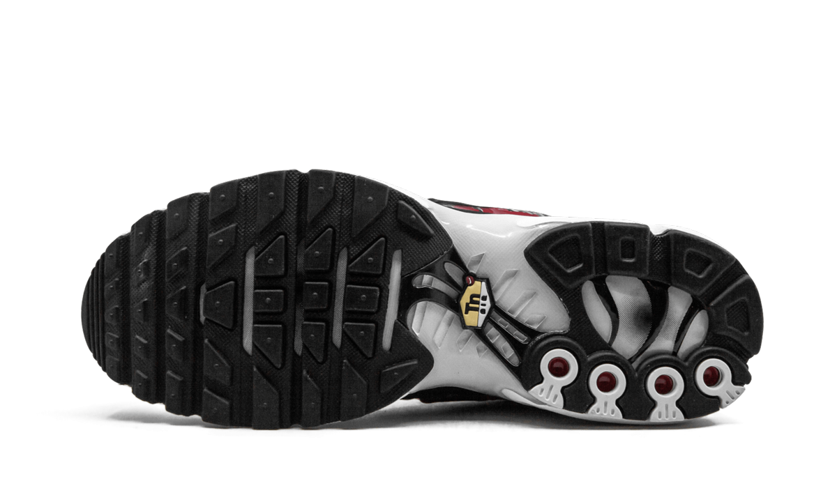 Nike Air Max Plus TN SE Striped AT0040 001