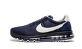 Nike Air Max LD-Zero HTM