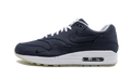 Nike Air Max 1 DSM AH8051 400
