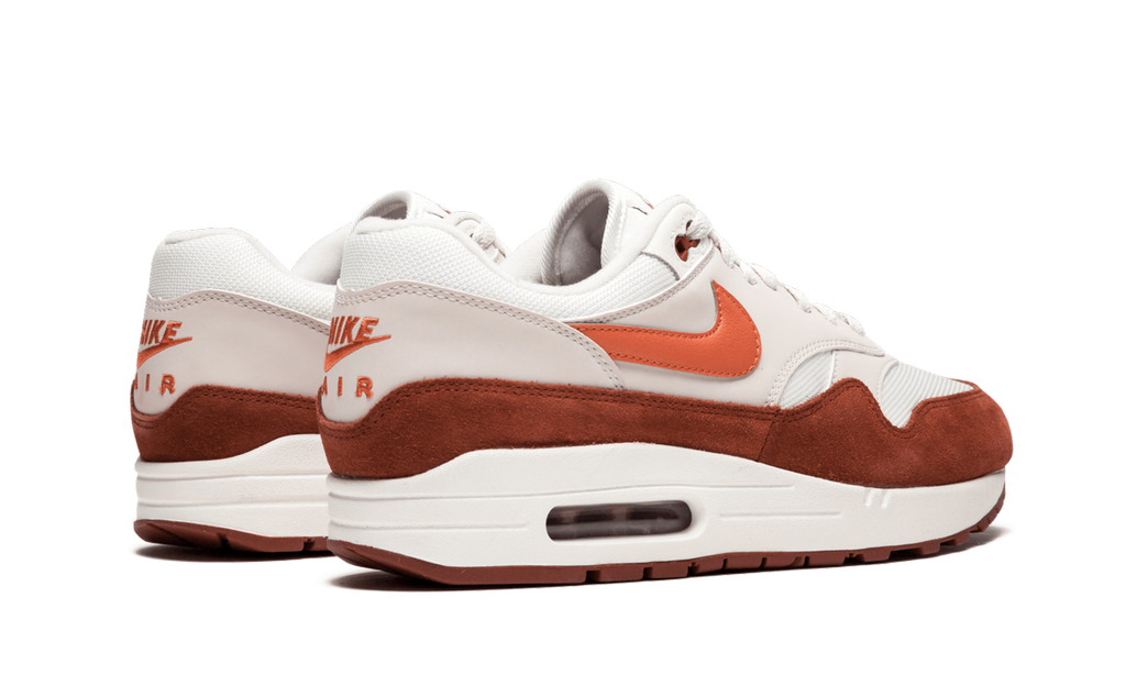 Nike Air Max 1 AH8145 104