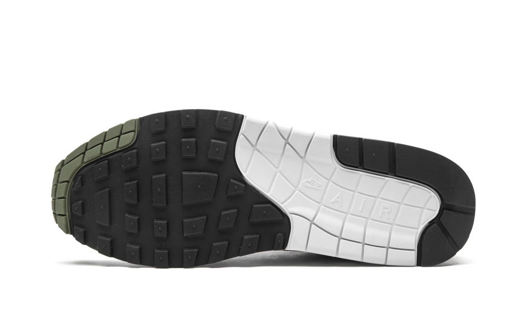 Nike Air Max 1 Spiral Sage DB5074 100