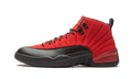 Air Jordan 12 Retro Reverse Flu Game CT8013 602