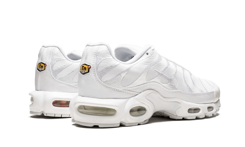 Nike Air Max Plus Triple Black AJ2029 001