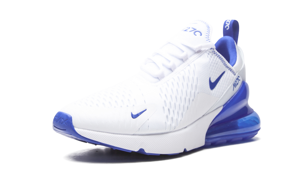 Nike Air Max 270 Kentucky DH0268 100