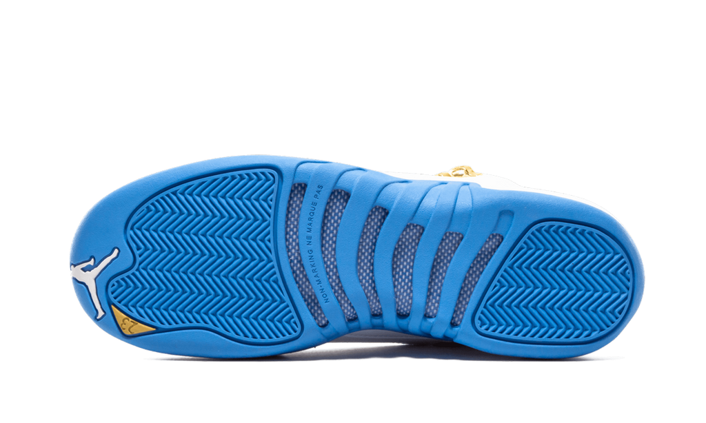 Air Jordan 12 Retro GS MELO 510815 127