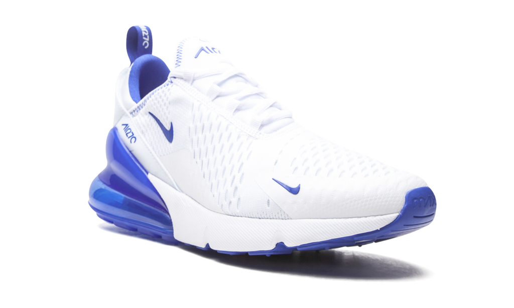 Nike Air Max 270 Kentucky DH0268 100