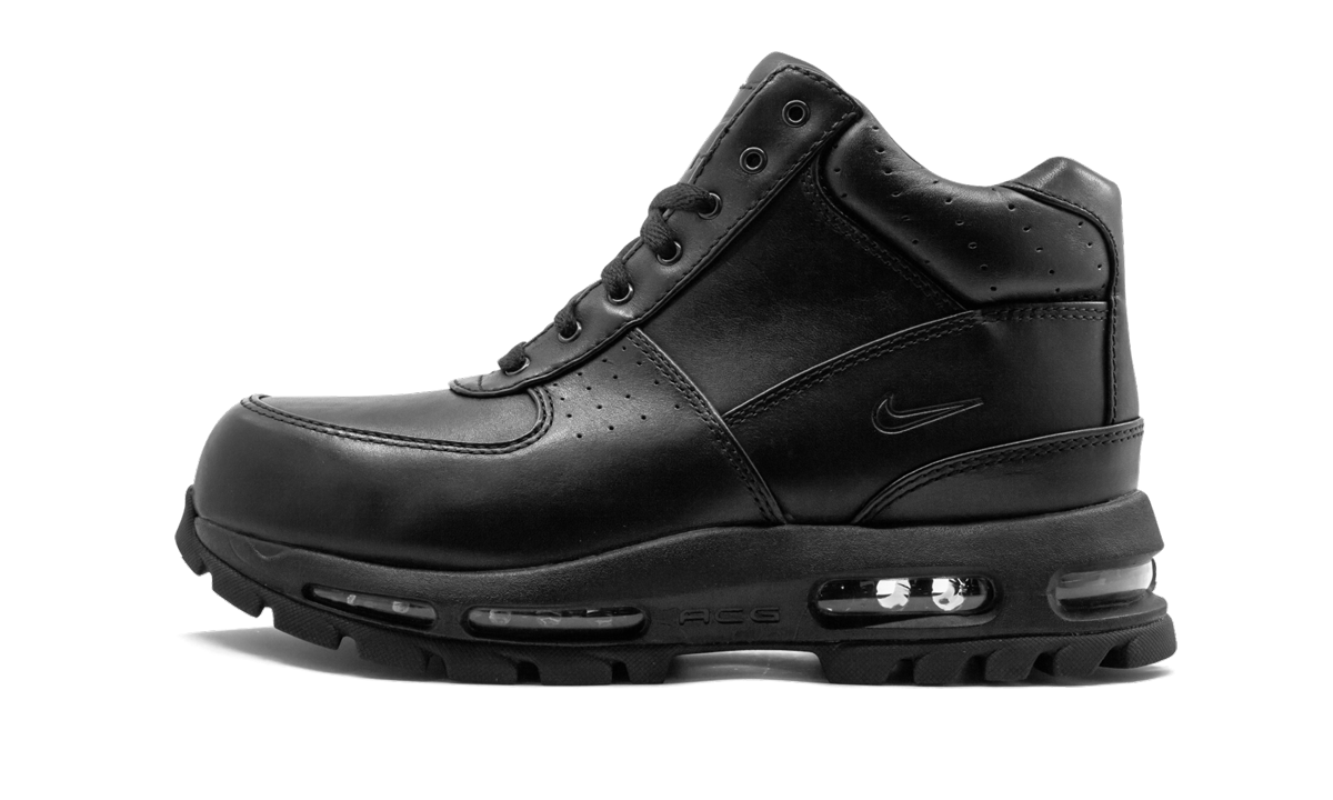 Nike Air Max Goadome Black 865031 009