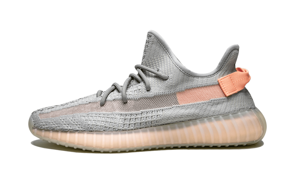 Yeezy Boost 350 V2 True Form EG7492