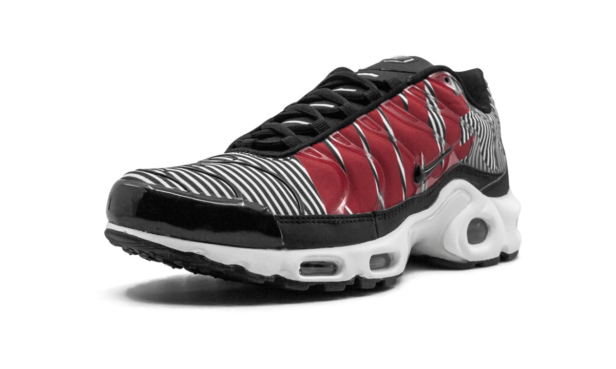 Nike Air Max Plus TN SE Striped AT0040 001