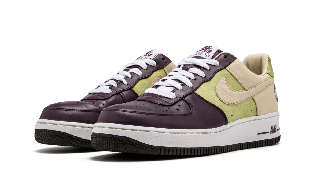 Nike Air Force 1 Premium '07 Bobbito Garcia 316892 521