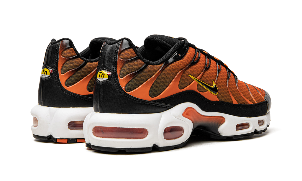 Nike Air Max Plus Safety Orange DM0032 800