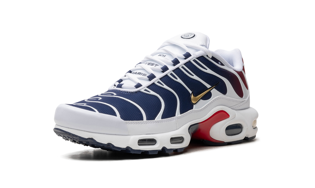 Nike Air Max Plus PSG FZ4776 100