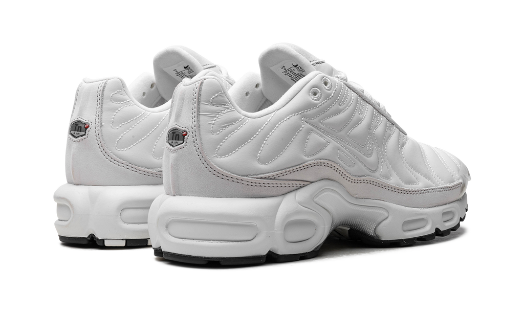 Nike Air Max Plus WMNS Platinum Tint FZ4342 001